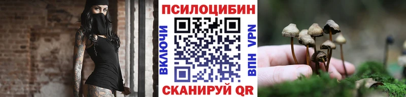 сколько стоит  Бабаево  Псилоцибиновые грибы мухоморы 